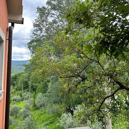 Ai 2 Olmi - Monolocali Nel Verde Múggia Dış mekan fotoğraf