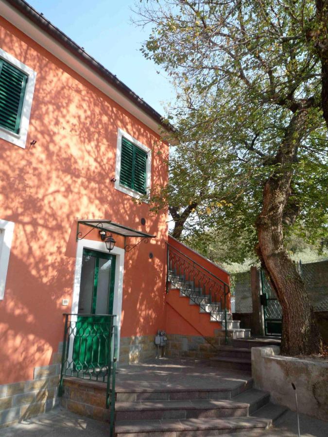 Ai 2 Olmi - Monolocali Nel Verde Múggia Dış mekan fotoğraf