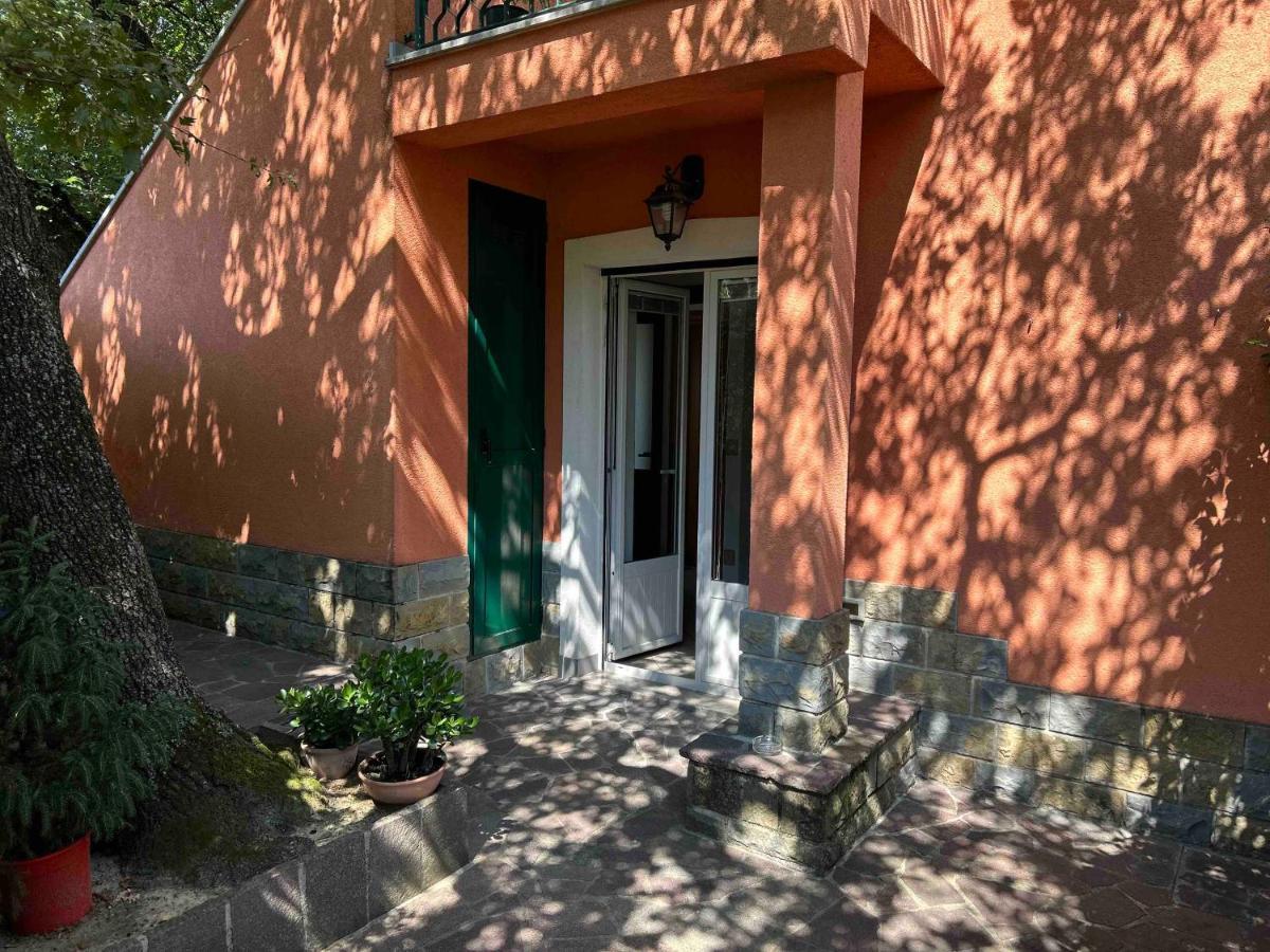 Ai 2 Olmi - Monolocali Nel Verde Múggia Dış mekan fotoğraf