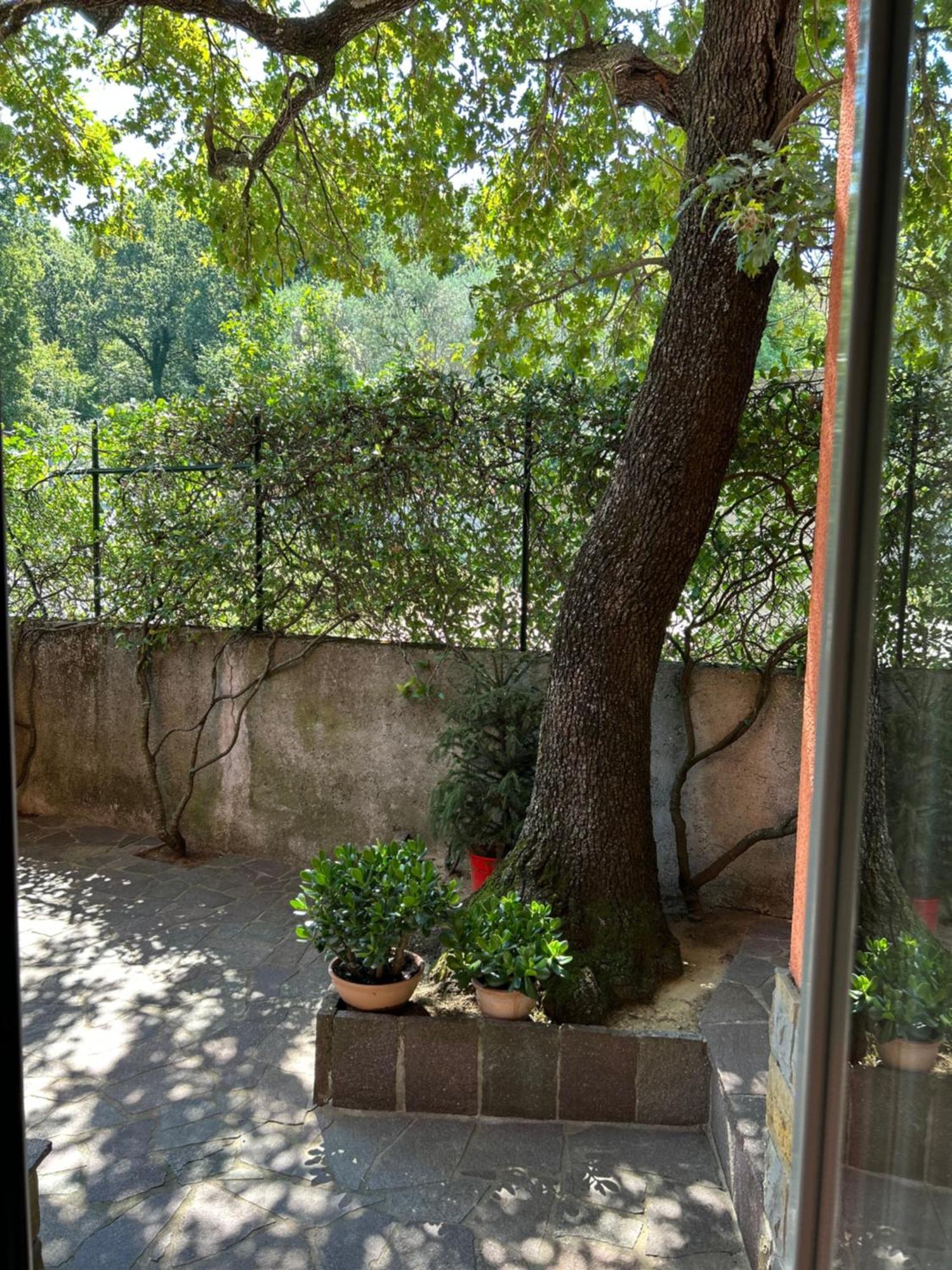 Ai 2 Olmi - Monolocali Nel Verde Múggia Dış mekan fotoğraf